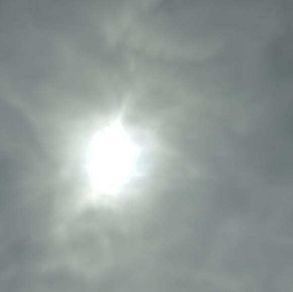 Meet your Posher, Adele - Picture 1 of 1